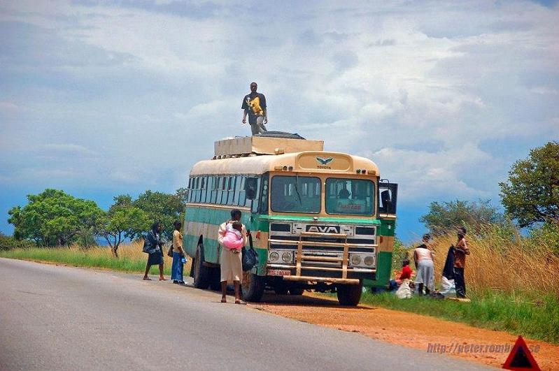Zimbabwe busses.jpg